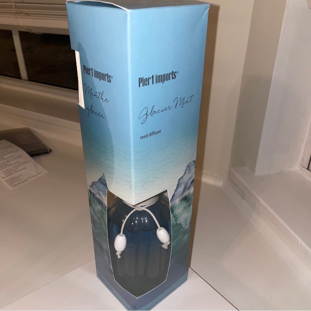 Pier 1 Imports Glacier Mint Diffuser 10 oz 10 Rattan Reeds New. Discontinued